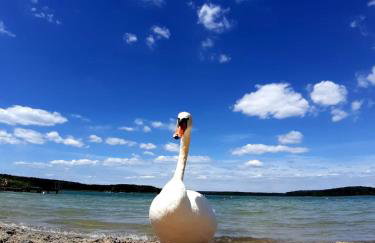 Domek Franianiesulice - Foto 43