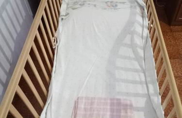 alchiccodoro - Photo 22