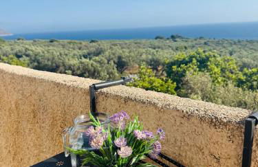 Mani Spot Nezoulas - Photo 13