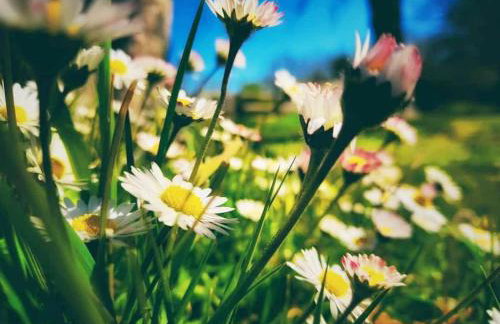 Golwg Y Cwm - Foto 36