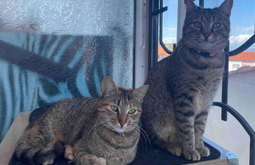 Top Floor Apartments - Photo 24