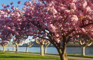 Ferienwohnung Am Geysirzentrum - Foto 15