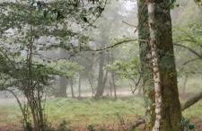 El Mirador de La Hayuela, a 7 min de Comillas - Photo 30