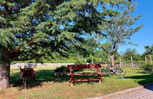 Villa Dola with private pool - Photo 40