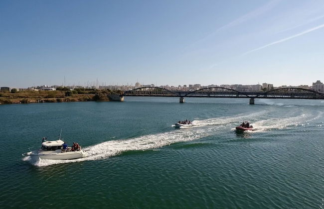 Villa Las Flores - Photo 30