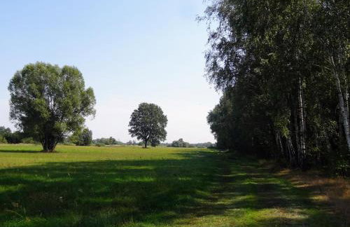 Siedlisko pod Kasztanem - Foto 44