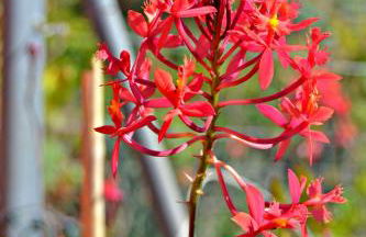 Casa Victor - Foto 12