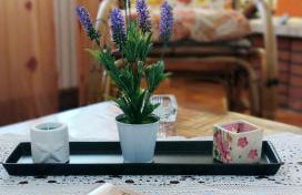 I Pini House - Photo 25