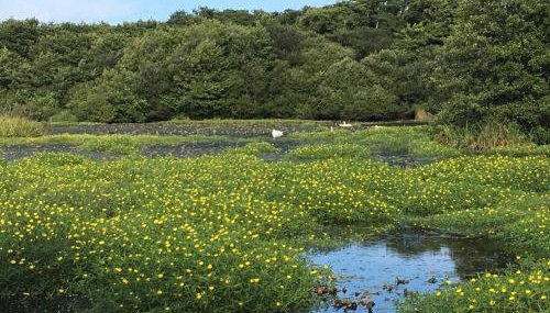 Appartement chez Loulou - Foto 3