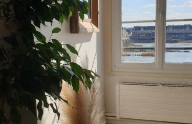 Blois, vue panoramique Loire - Photo 30