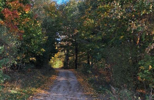 Brzozowe Ostrowie - Foto 31