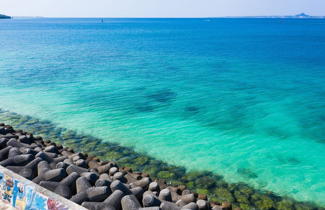 Mr.KINJO in MOTOBU OCEAN TERRACE - Photo 18