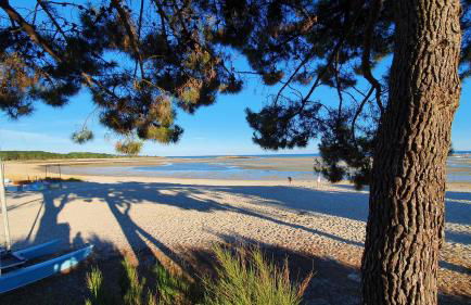 L'Ilot du Men Du - Charme - WiFi - 2 vélos - Plages à pied - 3 étoiles - Foto 34