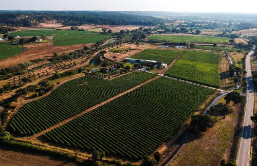 MONTE DA RAPOSINHA Enoturismo, Montargil - Foto 59