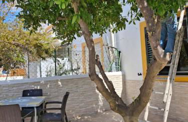 Flor de Laranjeira - Foto 1