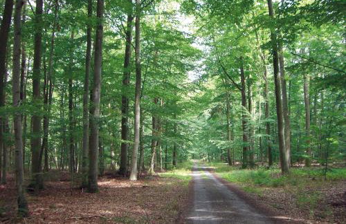 Haus am Zabelstein - Foto 28
