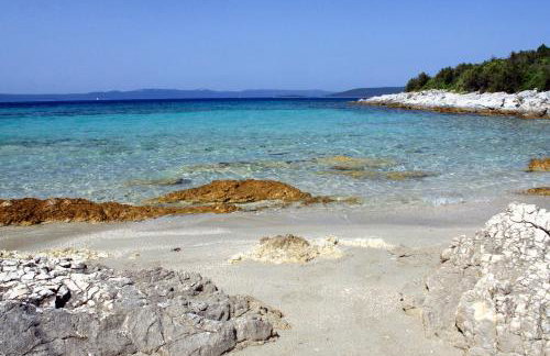 Apartments by the sea Muline, Ugljan - 8520 - Foto 38