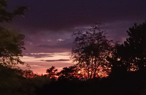 Ferienwohnung Sasbachwalden H2 Ap3 mit beheiztem Innenpool und Sauna - Foto 16