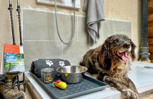 The Nest - Ukc7001 - Foto 16