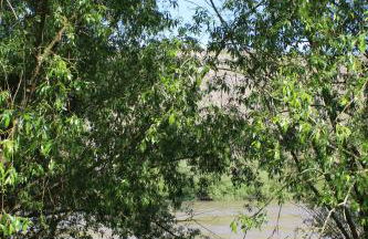 FeWo Freis in Brauneberg - Foto 47