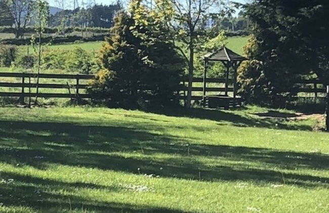 Scardroy Alford - Photo 25