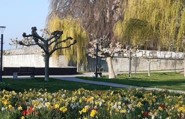 Haus Franke - Foto 14