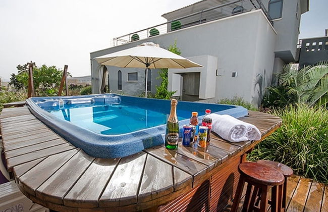 Black and White Holiday - Photo 12