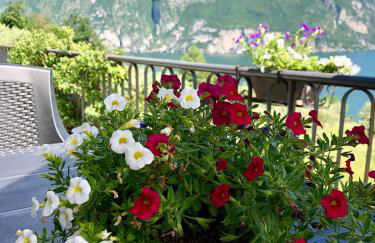 Casa Emilia - Foto 52