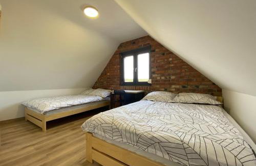 Domek Radawa, Koguty - Foto 2