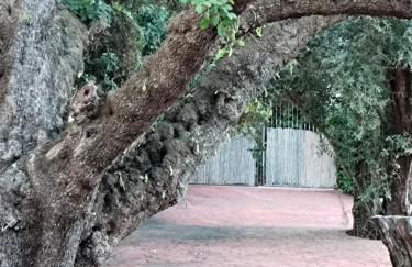 Los Tréboles - Foto 40