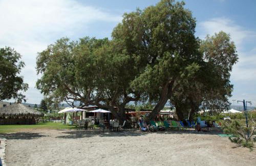 Gold Apartments - Foto 45