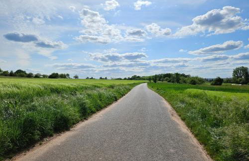 Gemütliche Wohnung in ruhigem Wohngebiet - Foto 17
