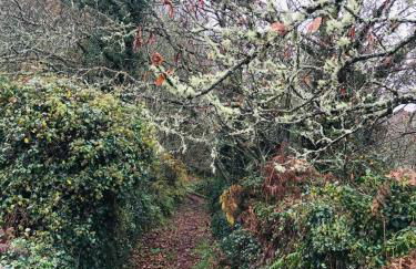 Ahío San Martín, Apartamentos Rurales Casa de la Villa - Foto 37