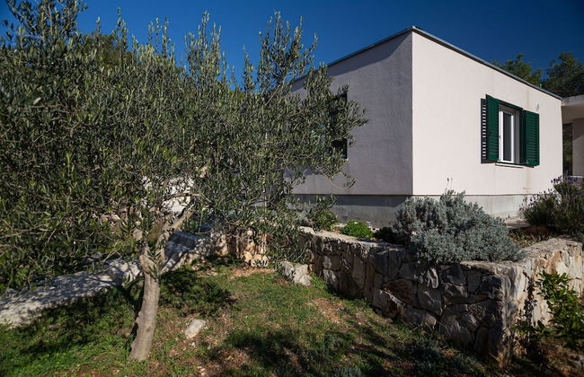 Olive Eden - Foto 37