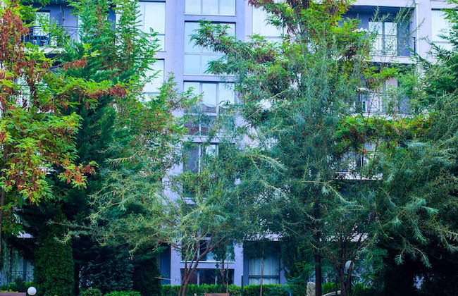 Rainbow 3 Resort Club - Foto 59