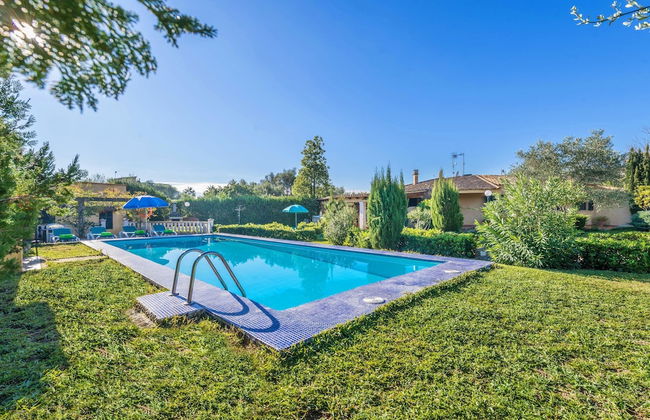 Hibiscus in Sa Pobla - Foto 3