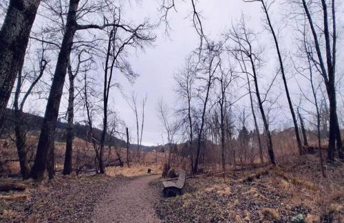 Ferienhaus, Sankt Georgen - Foto 32