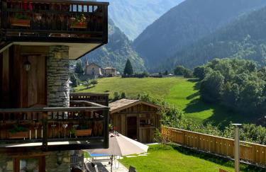 Chalet des Trappeurs Coeur Vanoise 15 persons - Foto 46