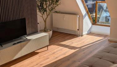 Komplett renovierte Design-Wohnung in Stadtnähe - Foto 1