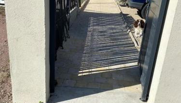 La cabane au fond du jardin - Foto 2