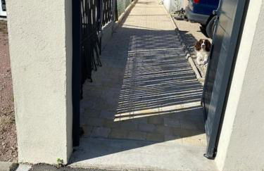 La cabane au fond du jardin - Foto 2