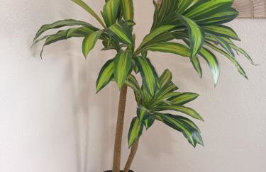 Buen Estar, piscina, barbacoa, jacuzzi en Valencia - Photo 53