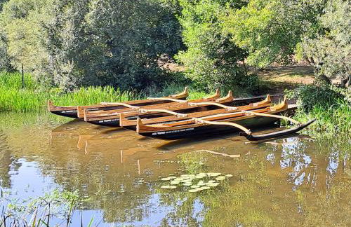 La gemmeuse Meublé de tourisme 3 étoiles - Foto 14