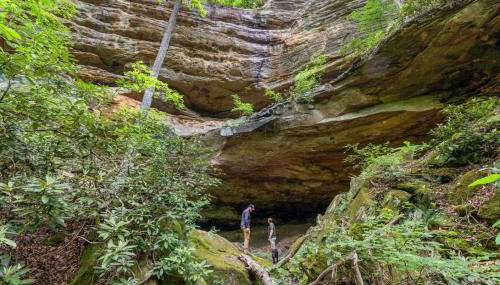 Beech Timber- 30 Acre Secluded Glamping in RRG - Foto 4