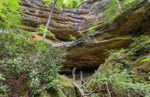 Beech Timber- 30 Acre Secluded Glamping in RRG - Foto 4