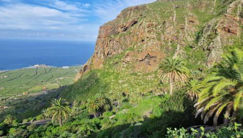 Los viñedos - Foto 2