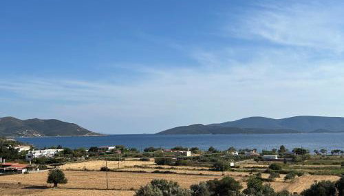 Tzaferi Olive Apartments - Foto 3