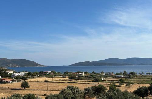 Tzaferi Olive Apartments - Photo 3