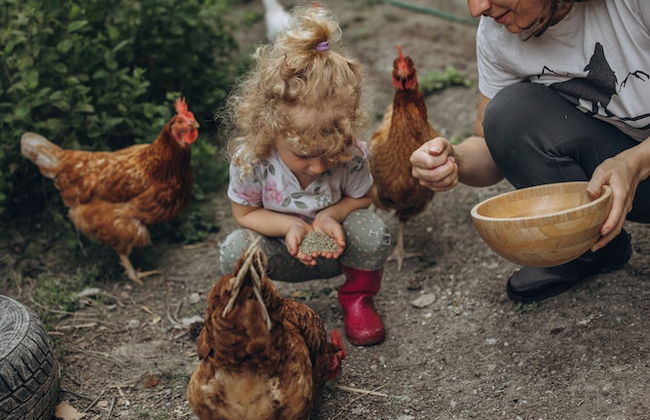 B&B Naturin - Cascina Colombaro - Photo 1