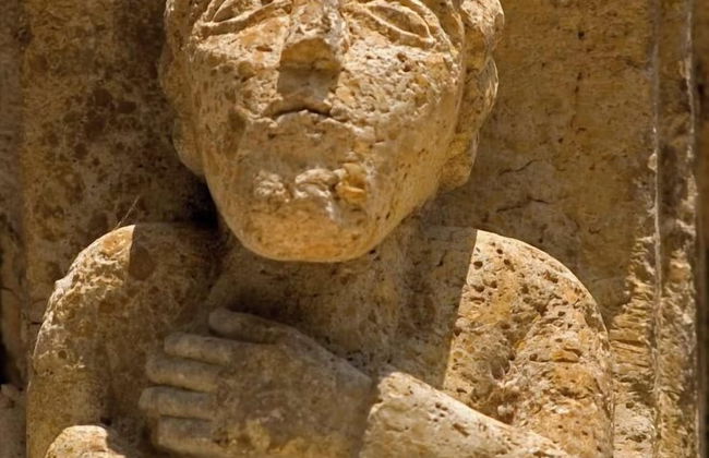 Domaine de Saint-Orens​ - Photo 39